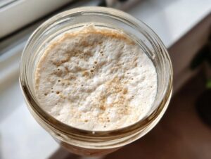 Overhead view of a bubbly, active sourdough starter in a glass jar, showing significant rise.